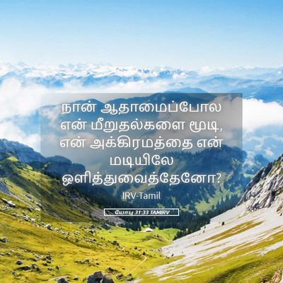 Picture 05 - யோபு 31:33 TAMIRV - நான் ஆதாமைப்போல - Bible Verse Picture