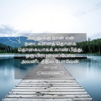 Picture 05 - யோபு 31:37 TAMIRV - அவனுக்கு நான் என் - Bible Verse Picture