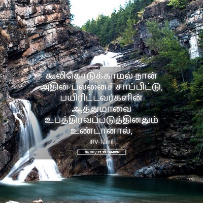 Picture 05 - யோபு 31:39 TAMIRV - கூலிகொடுக்காமல் - Bible Verse Picture