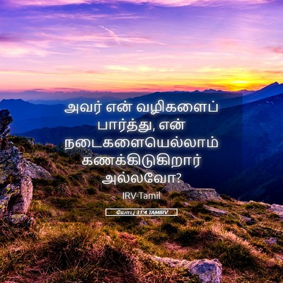 Picture 05 - யோபு 31:4 TAMIRV - அவர் என் வழிகளைப் - Bible Verse Picture