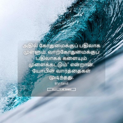 Picture 05 - யோபு 31:40 TAMIRV - அதில் - Bible Verse Picture