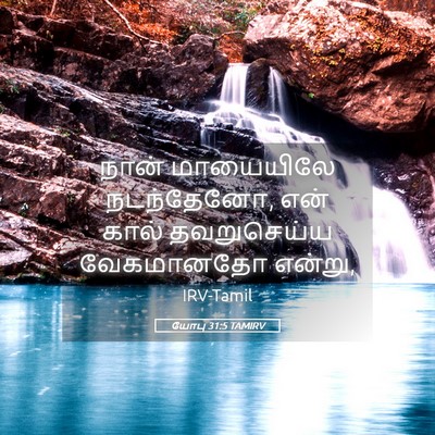 Picture 05 - யோபு 31:5 TAMIRV - நான் மாயையிலே - Bible Verse Picture