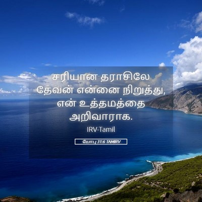 Picture 05 - யோபு 31:6 TAMIRV - சரியான தராசிலே - Bible Verse Picture