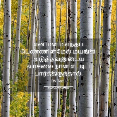 Picture 05 - யோபு 31:9 TAMIRV - என் மனம் எந்தப் - Bible Verse Picture