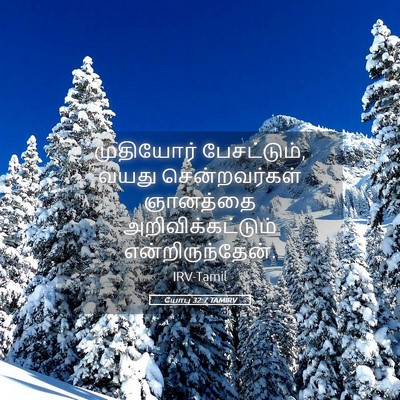 Picture 05 - யோபு 32:7 TAMIRV - முதியோர் - Bible Verse Picture