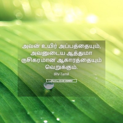 Picture 05 - யோபு 33:20 TAMIRV - அவன் உயிர் - Bible Verse Picture
