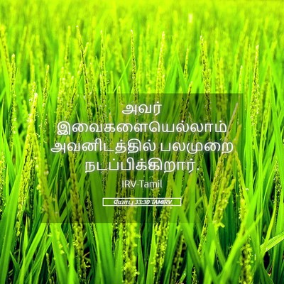 Picture 05 - யோபு 33:30 TAMIRV - அவர் - Bible Verse Picture