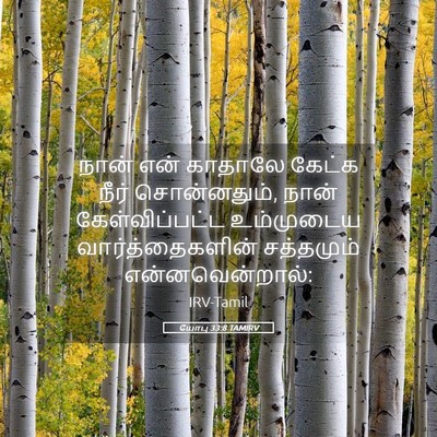 Picture 05 - யோபு 33:8 TAMIRV - நான் என் காதாலே - Bible Verse Picture
