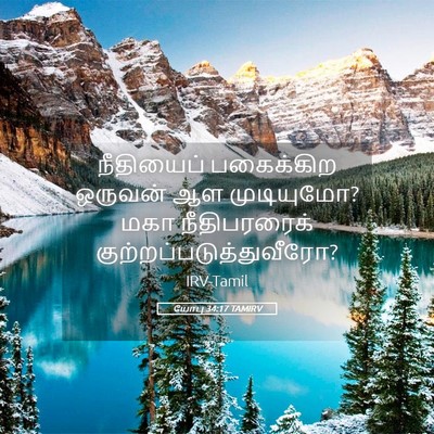 Picture 05 - யோபு 34:17 TAMIRV - நீதியைப் பகைக்கிற - Bible Verse Picture