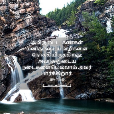 Picture 05 - யோபு 34:21 TAMIRV - அவருடைய கண்கள் - Bible Verse Picture