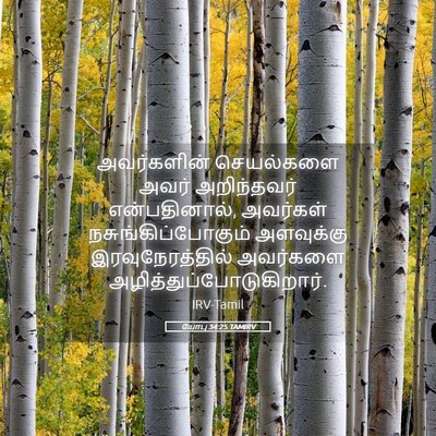 Picture 05 - யோபு 34:25 TAMIRV - அவர்களின் - Bible Verse Picture