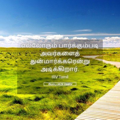 Picture 05 - யோபு 34:28 TAMIRV - எல்லோரும் - Bible Verse Picture