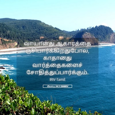 Picture 05 - யோபு 34:3 TAMIRV - வாயானது ஆகாரத்தை - Bible Verse Picture