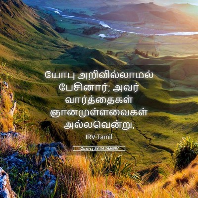 Picture 05 - யோபு 34:34 TAMIRV - யோபு அறிவில்லாமல் - Bible Verse Picture