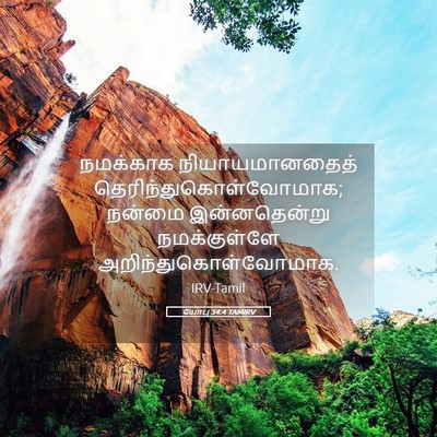 Picture 05 - யோபு 34:4 TAMIRV - நமக்காக - Bible Verse Picture