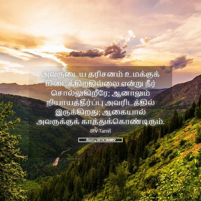 Picture 05 - யோபு 35:14 TAMIRV - அவருடைய தரிசனம் - Bible Verse Picture