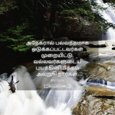 Picture 05 - யோபு 35:9 TAMIRV - அநேகரால் - Bible Verse Picture
