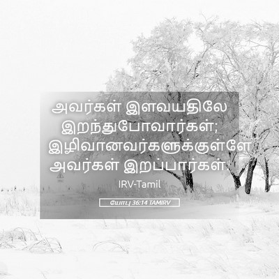Picture 05 - யோபு 36:14 TAMIRV - அவர்கள் இளவயதிலே - Bible Verse Picture