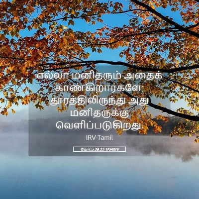 Picture 05 - யோபு 36:25 TAMIRV - எல்லா மனிதரும் - Bible Verse Picture