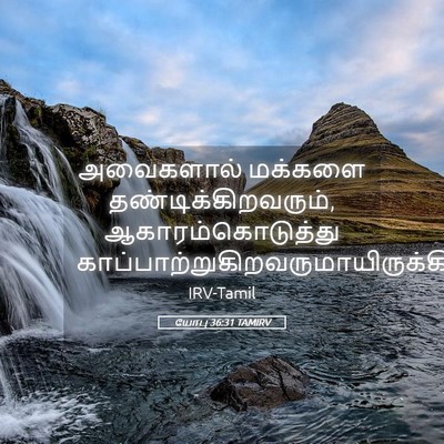 Picture 05 - யோபு 36:31 TAMIRV - அவைகளால் மக்களை - Bible Verse Picture