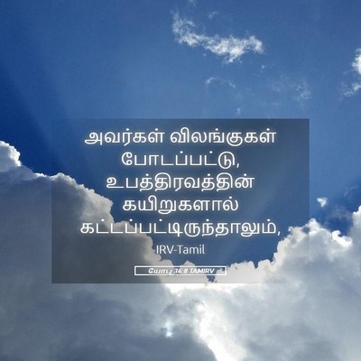 Picture 05 - யோபு 36:8 TAMIRV - அவர்கள் - Bible Verse Picture