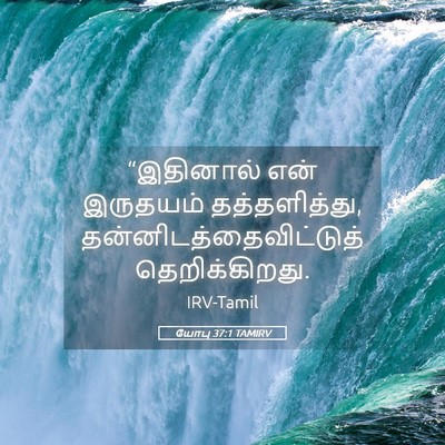 Picture 05 - யோபு 37:1 TAMIRV - “இதினால் என் - Bible Verse Picture