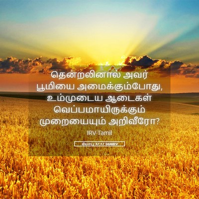 Picture 05 - யோபு 37:17 TAMIRV - தென்றலினால் அவர் - Bible Verse Picture