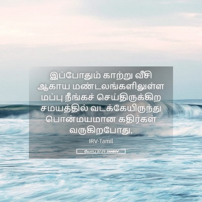 Picture 05 - யோபு 37:21 TAMIRV - இப்போதும் காற்று - Bible Verse Picture