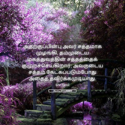 Picture 05 - யோபு 37:4 TAMIRV - அதற்குப்பின்பு - Bible Verse Picture