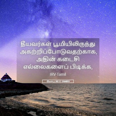 Picture 05 - யோபு 38:12 TAMIRV - தீயவர்கள் - Bible Verse Picture
