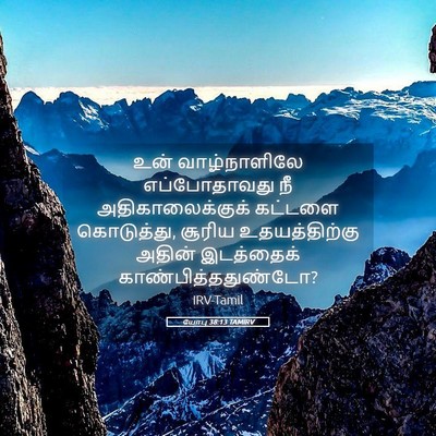 Picture 05 - யோபு 38:13 TAMIRV - உன் வாழ்நாளிலே - Bible Verse Picture