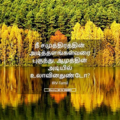 Picture 05 - யோபு 38:16 TAMIRV - நீ சமுத்திரத்தின் - Bible Verse Picture