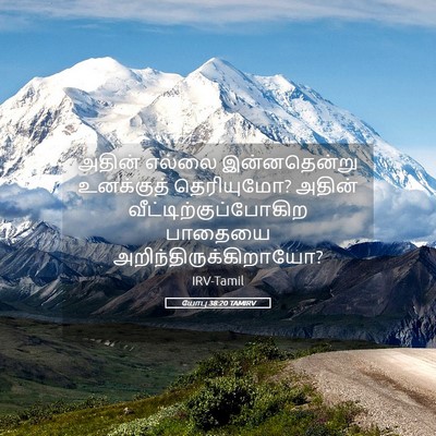 Picture 05 - யோபு 38:20 TAMIRV - அதின் எல்லை - Bible Verse Picture