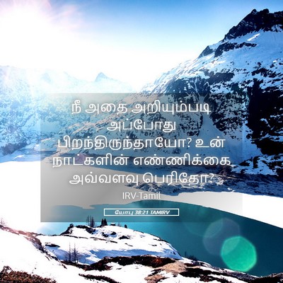 Picture 05 - யோபு 38:21 TAMIRV - நீ அதை அறியும்படி - Bible Verse Picture