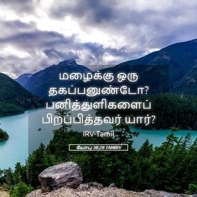 Picture 05 - யோபு 38:28 TAMIRV - மழைக்கு ஒரு - Bible Verse Picture