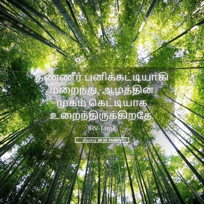 Picture 05 - யோபு 38:30 TAMIRV - தண்ணீர் - Bible Verse Picture