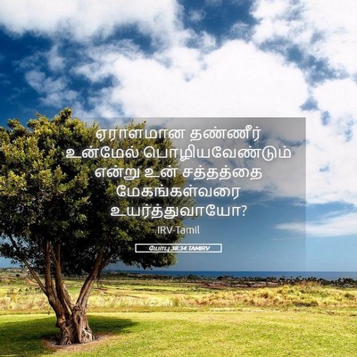 Picture 05 - யோபு 38:34 TAMIRV - ஏராளமான தண்ணீர் - Bible Verse Picture