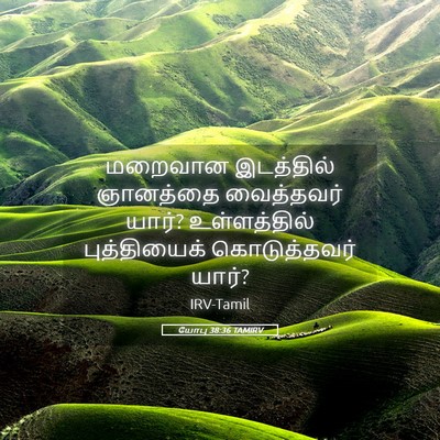 Picture 05 - யோபு 38:36 TAMIRV - மறைவான இடத்தில் - Bible Verse Picture
