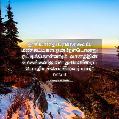 Picture 05 - யோபு 38:38 TAMIRV - தூசியானது - Bible Verse Picture