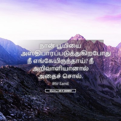 Picture 05 - யோபு 38:4 TAMIRV - நான் பூமியை - Bible Verse Picture