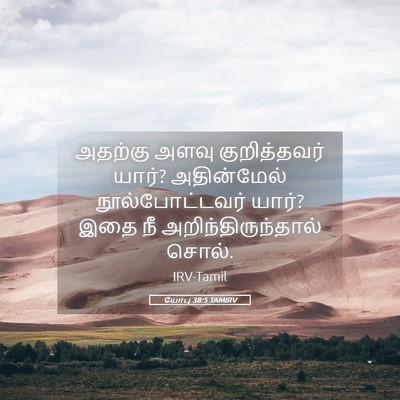 Picture 05 - யோபு 38:5 TAMIRV - அதற்கு அளவு - Bible Verse Picture