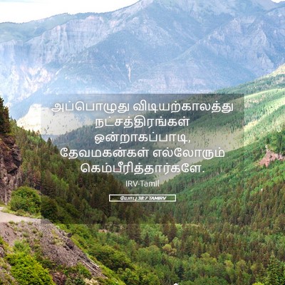 Picture 05 - யோபு 38:7 TAMIRV - அப்பொழுது - Bible Verse Picture