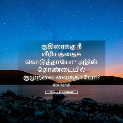 Picture 05 - யோபு 39:19 TAMIRV - குதிரைக்கு நீ - Bible Verse Picture