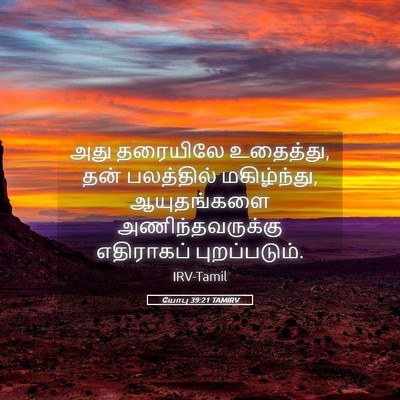 Picture 05 - யோபு 39:21 TAMIRV - அது தரையிலே - Bible Verse Picture