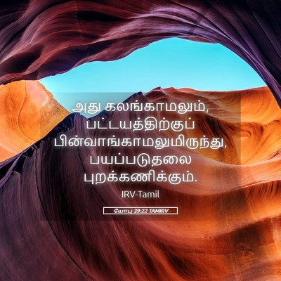 Picture 05 - யோபு 39:22 TAMIRV - அது கலங்காமலும், - Bible Verse Picture
