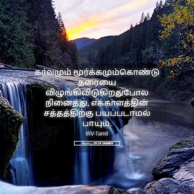 Picture 05 - யோபு 39:24 TAMIRV - கர்வமும் - Bible Verse Picture
