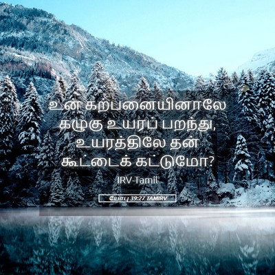 Picture 05 - யோபு 39:27 TAMIRV - உன் கற்பனையினாலே - Bible Verse Picture