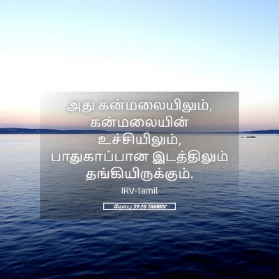 Picture 05 - யோபு 39:28 TAMIRV - அது கன்மலையிலும், - Bible Verse Picture