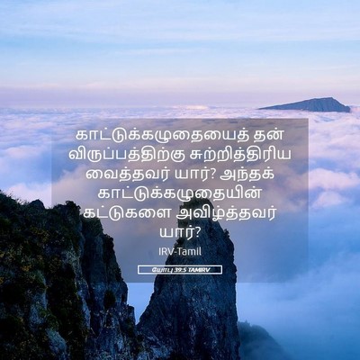 Picture 05 - யோபு 39:5 TAMIRV -  - Bible Verse Picture