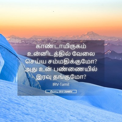Picture 05 - யோபு 39:9 TAMIRV - காண்டாமிருகம் - Bible Verse Picture